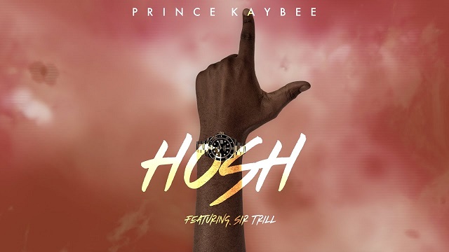 Prince Kaybee Hosh Visualizer