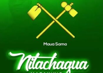 Maua Sama Magufuli (nitachagua Mafanikio)