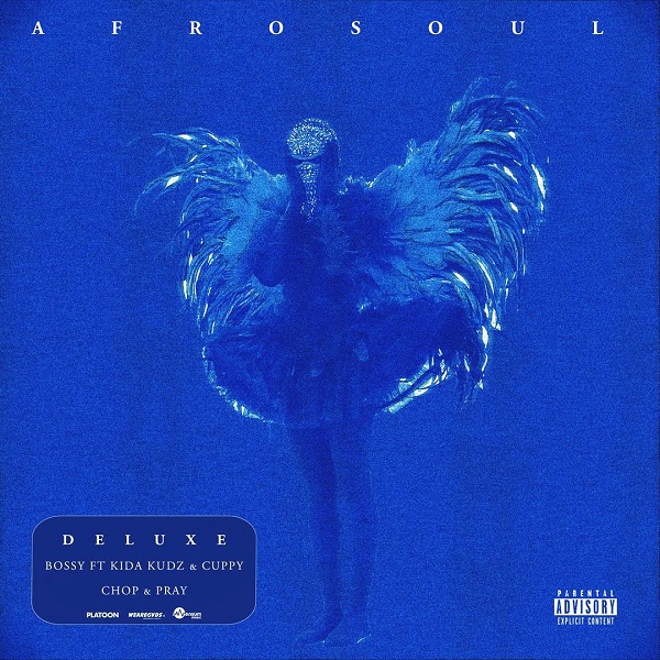 Wurld Afrosoul Deluxe