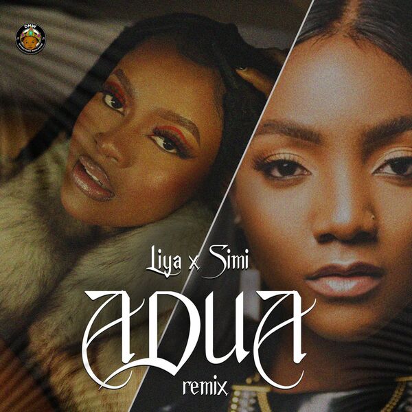 Liya Adua Remix