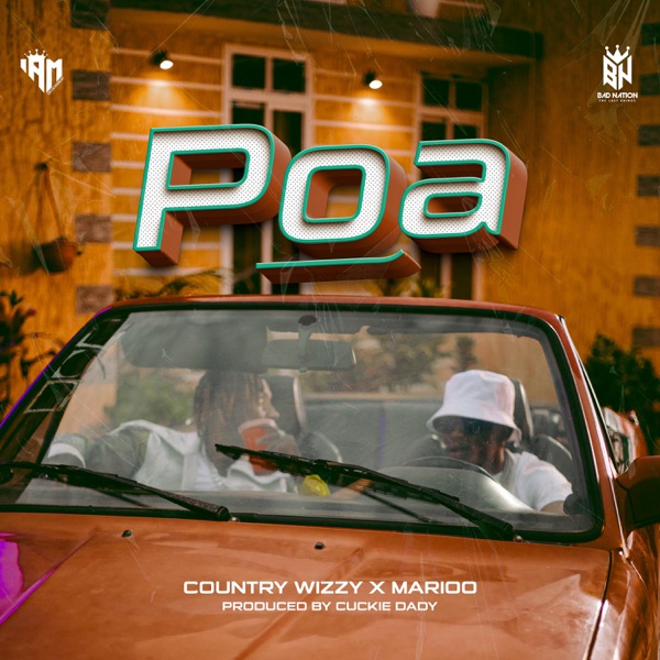 Country Wizzy Poa